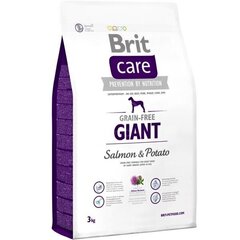 Brit Care Giant Salmon & Potato koeratoit 3 kg цена и информация | Сухой корм для собак | hansapost.ee