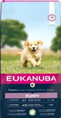 Eukanuba сухой корм для малых и средних щенков с бараниной и рисом, 12 кг цена и информация | Сухой корм для собак | hansapost.ee