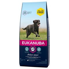 Eukanuba сухой корм Adult, L, 18 кг цена и информация | Сухой корм для собак | hansapost.ee