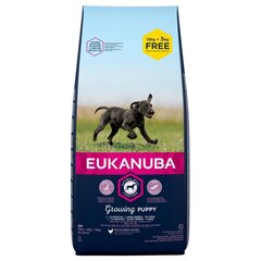 Kuivtoit Eukanuba Puppy & Junior kanaga, L, 18 kg цена и информация | Сухой корм для собак | hansapost.ee