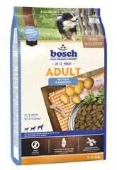 Bosch Petfood Adult Fish & Potato (High Premium) 3kg hind ja info | Koerte kuivtoit ja krõbinad | hansapost.ee