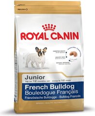 Royal Canin Prantsuse buldogi kutsikatele, 10 kg hind ja info | Koerte kuivtoit ja krõbinad | hansapost.ee