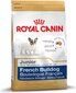 Royal Canin Prantsuse buldogi kutsikatele, 10 kg hind ja info | Koerte kuivtoit ja krõbinad | hansapost.ee