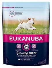 EUKANUBA PUPPY сухой корм со свежей курицей для щенков мелких пород до 12 месяцев 3 кг цена и информация | Сухой корм для собак | hansapost.ee