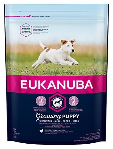 Kuivtoit EUKANUBA PUPPY väikest tõugu kutsikatele kuni 12 kuud, kanalihaga, 3 kg hind ja info | Koerte kuivtoit ja krõbinad | hansapost.ee