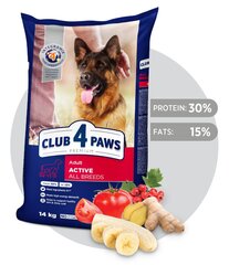 CLUB 4 PAWS Premium полнорационный сухой корм для активных взрослых собак всех пород "ACTIVE", 14 кг цена и информация | Сухой корм для собак | hansapost.ee