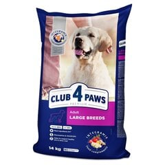 Club 4 Paws Premium kuivtoit suurt kasvu koertele hind ja info | Koerte kuivtoit ja krõbinad | hansapost.ee