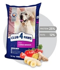 Club 4 Paws Premium kuivtoit suurt kasvu koertele hind ja info | Koerte kuivtoit ja krõbinad | hansapost.ee