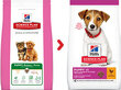 Kuivtoit kutsikatele Hill's Science Plan Puppy Small&Mini kanalihaga, 3 kg price and information | Koerte kuivtoit ja krõbinad | hansapost.ee