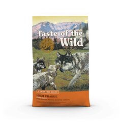 Teravaba kuivtoit väikestele koertele Taste of the Wild High Prairie Puppy piisoni- ja hirvelihaga, 12.2 kg price and information | Dry dog food and crisps | hansapost.ee