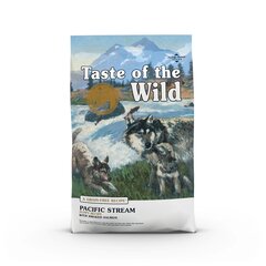 Беззерновой сухой корм для маленьких собак с мясом лосося Taste of the Wild Pacific Stream Puppy, 12.2 кг цена и информация | Taste Of The Wild Для собак | hansapost.ee