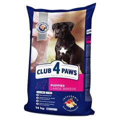 Täisväärtuslik kuivtoit kutsikatele Club 4 Paws Premium Puppies large kanaga, 14,0 kg price and information | Dry dog food and crisps | hansapost.ee