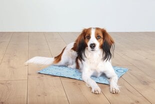 Охлаждающий коврик для собак Trixie S, 40x30 см цена и информация | Лежаки, домики | hansapost.ee