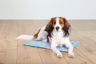 Охлаждающий коврик для собак Trixie M, 50x40 см цена и информация | Лежаки, домики | hansapost.ee