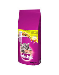 Whiskas для котят с курицей Junior, 14 кг цена и информация | Сухой корм для кошек | hansapost.ee