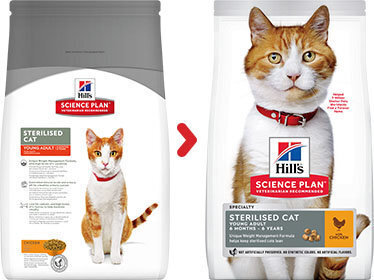Hill's Science Plan Young Adult Sterilised Cat kuivtoit kassidele koos kanaga, 3kg hind ja info | Kassi kuivtoit ja kassikrõbinad | hansapost.ee