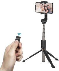 Палка для селфи BlitzWolf BW-BS4 Black цена и информация | Моноподы для селфи («Selfie sticks») | hansapost.ee