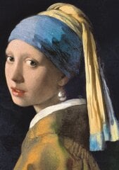 Пазлы Trefl Vermeer 1000 д. цена и информация | Пазлы | hansapost.ee