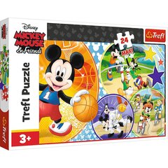 Pusle Trefl Maxi Miki Hiir (Minnie Mouse), 24-osaline цена и информация | Пазлы | hansapost.ee