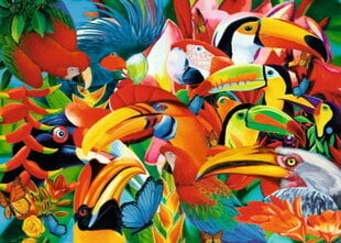 Головоломка Trefl Colorful Birds, 500 d. цена и информация | Пазлы | hansapost.ee