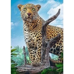 Pusle Trefl Wild Leopard, 500-osaline цена и информация | Пазлы | hansapost.ee