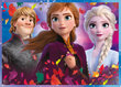 TREFL pusle Lumekuninganna ja igavene talv 2 (Frozen 2) 4in1 цена и информация | Pusled lastele ja täiskasvanutele | hansapost.ee