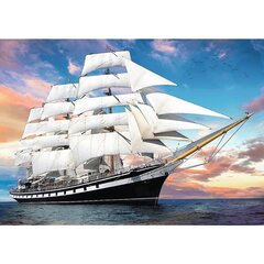 Головоломка Trefl Premium Quality Корабль, 1000 д. цена и информация | Пазлы | hansapost.ee