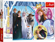Pusle Frozen, 100 tk цена и информация | Pusled lastele ja täiskasvanutele | hansapost.ee