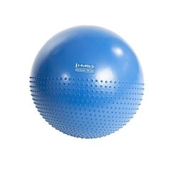 Гимнастический мяч с насосом HMS YB03, 55 см, синий цена и информация | Гимнастические мячи | hansapost.ee