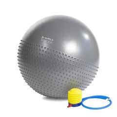 Гимнастический мяч с насосом HMS YB03, 65 см, серый цена и информация | Гимнастические мячи | hansapost.ee