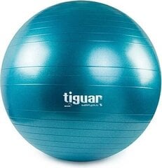 Гимнастический мяч Tiguar Safety Plus, 75cm цена и информация | Tiguar Спорт, досуг, туризм | hansapost.ee