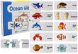 Arendav pusle „Ookeanimaailm“, inglise keeles, 10 kombinatsiooni hind ja info | Lauamängud ja mõistatused perele | hansapost.ee