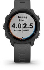 Garmin Forerunner 245 Grey цена и информация | Смарт-часы (smartwatch) | hansapost.ee