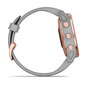 Garmin fēnix® 6S Sapphire Rose Gold-tone/Powder Grey hind ja info | Nutikellad, laste nutikellad | hansapost.ee