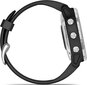 Garmin fēnix® 6S Solar Silver/Black цена и информация | Nutikellad, laste nutikellad | hansapost.ee