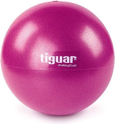 Võimlemispall Tiguar Easy Ball, 25 cm hind ja info | Võimlemispallid | hansapost.ee
