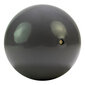 Fintess-Pall Tunturi Toning ball 1,5 kg цена и информация | Võimlemispallid | hansapost.ee