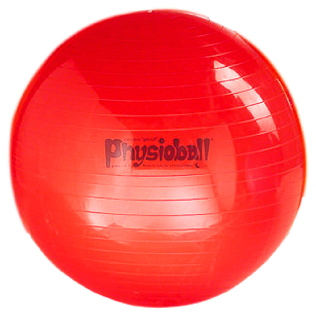 Võimlemispall Original PEZZI Physioball 95cm. hind ja info | Võimlemispallid | hansapost.ee