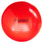 Võimlemispall Original PEZZI Physioball 95cm. цена и информация | Võimlemispallid | hansapost.ee