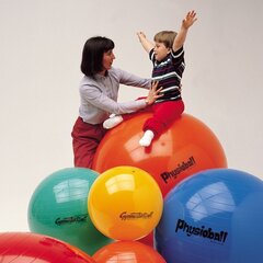 Гимнастический мяч Original PEZZI Physioball 120 см. цена и информация | Гимнастические мячи | hansapost.ee