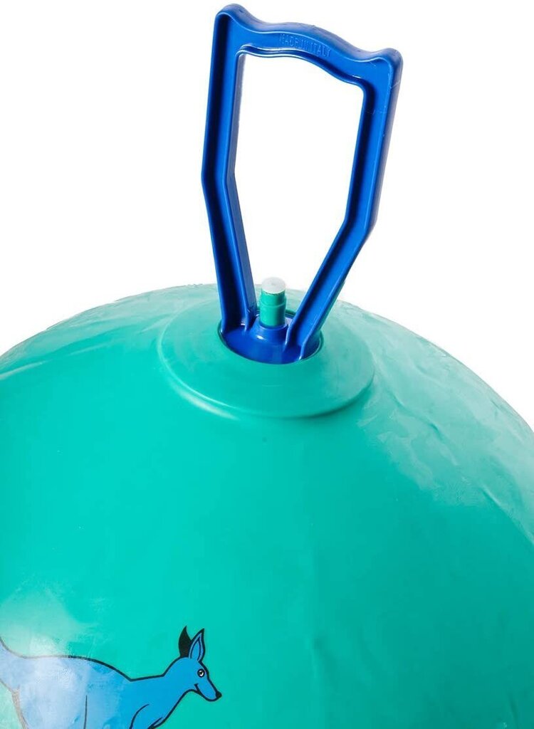 Hüppepall Original Pezzi Pon Pon Maxi 65m цена и информация | Võimlemispallid | hansapost.ee