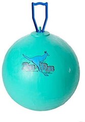 Мяч для прыжков Original Pezzi Pon Pon Maxi 65 см цена и информация | SportVida Фитнес упражнений & Реабилитации мяч 55CM диаметр с насосом Коралллого Розовый | hansapost.ee