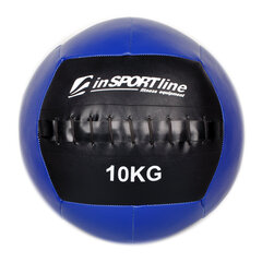Мяч для силовых тренировок inSPORTline Walbal 10 кг цена и информация | Медболы | hansapost.ee