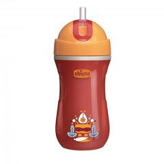 Pudel kõrrega Chicco Mix&Match, 14 m+, 266 ml цена и информация | Бутылочки и аксессуары | hansapost.ee