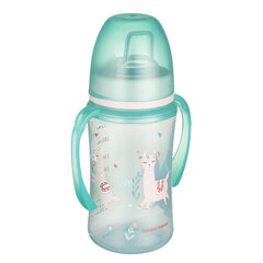 Koolitustass Canpol Babies EasyStart, Eksootilised loomad 240 ml, 35/208, hall price and information | Baby bottles and accessories | hansapost.ee