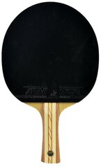 Lauatennisereket Atemi 4000, 1 tk, punane price and information | Ping pong/board tennis rackets and racket bags | hansapost.ee