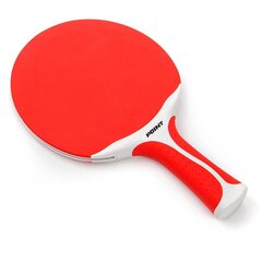 Ракетка для настольного тенниса POINT SCHOOL цена и информация | Ракетки для настольного тенниса, чехлы и наборы | hansapost.ee