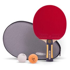Набор для настольного тенниса Atemi Exclusive цена и информация | Ракетки для настольного тенниса, чехлы и наборы | hansapost.ee