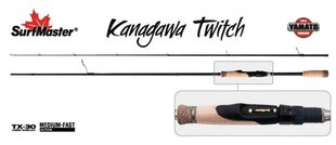 Spinning Surf Master «Yamato KANAGAWA Twitch TX-30» YS5007 2X 205 cm. цена и информация | Удочки, подставки и держатели | hansapost.ee