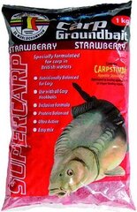 Приманка Marcel Van Den Eynde Supercarp Strawberry 1кг цена и информация | Прикормки | hansapost.ee